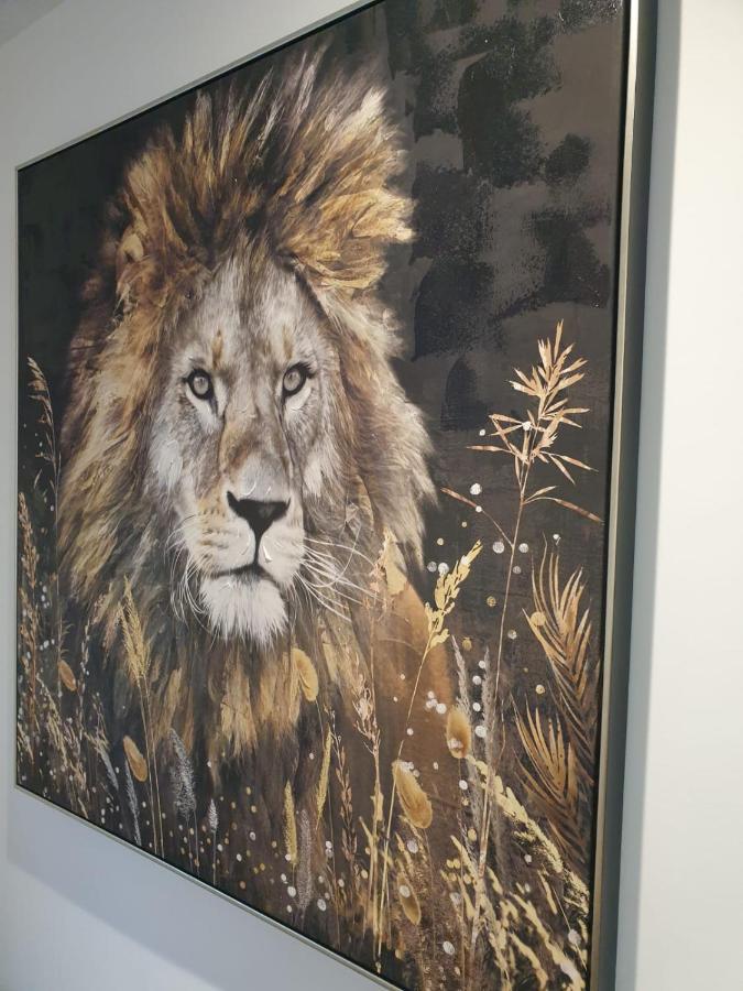 Le Jungle Apartment Pamiers Bagian luar foto